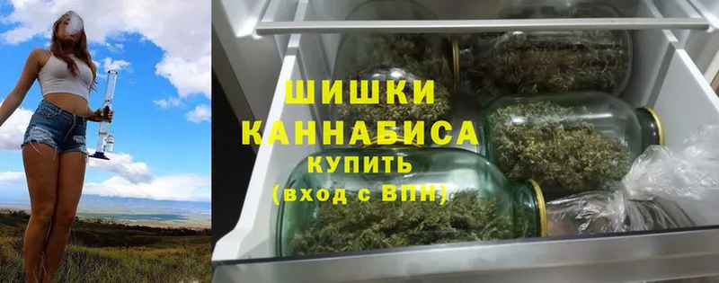 купить закладку  Сортавала  Шишки марихуана SATIVA & INDICA 